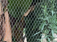 스테인리스 스틸 로프 맷 넷 금속 와이어 맷 펠루 동물원 맷 다이아몬드 모양 격자 구조