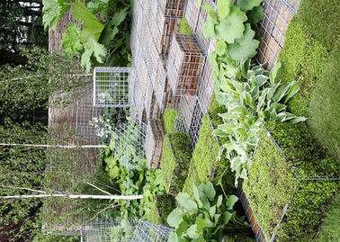 Galfan는 금속 Gabion 바구니, Gabion 바위 벽 감금소는 색깔을 입혔습니다