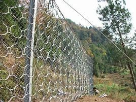 뜨거운 담궈진 Galvanizedsteel 금속 반지 메시 보통 직물 사면 안정화 체계
